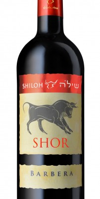 <p>SHILOH BARBERA SHOR 750ML is a robust red wine hailing from the renowned wine region of Italy. This Barbera offers vibrant acidity complemented by notes of ripe cherry